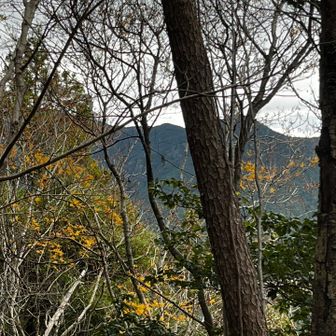 ここからはYMAPルートにはなってないですが、ふみ跡が沢山付いてるのでそちらへ周回