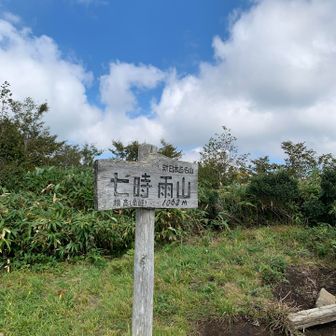 南峰登頂🥳