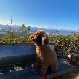 初めまして登山デビュー⛰️