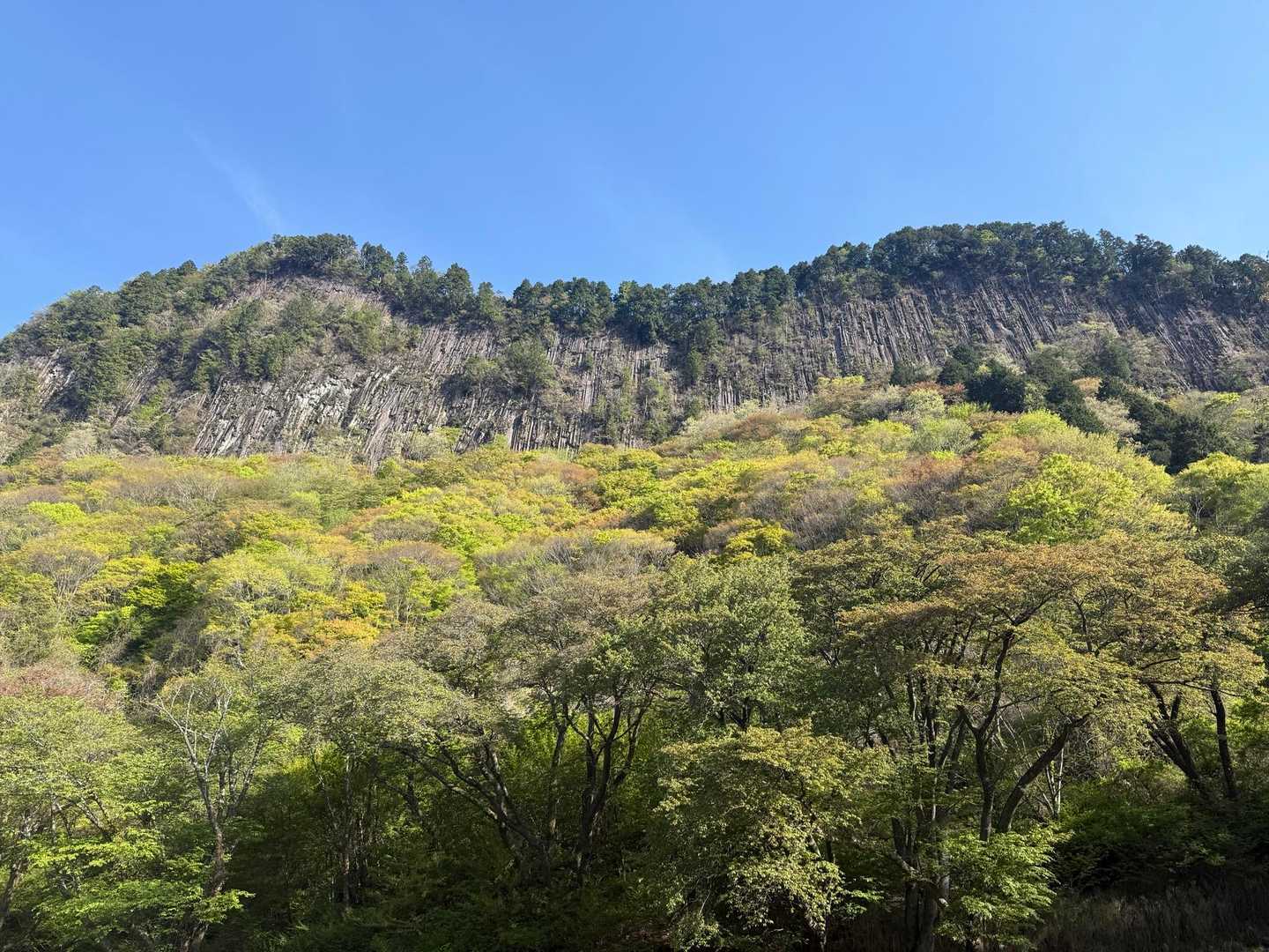 圧巻です！😆