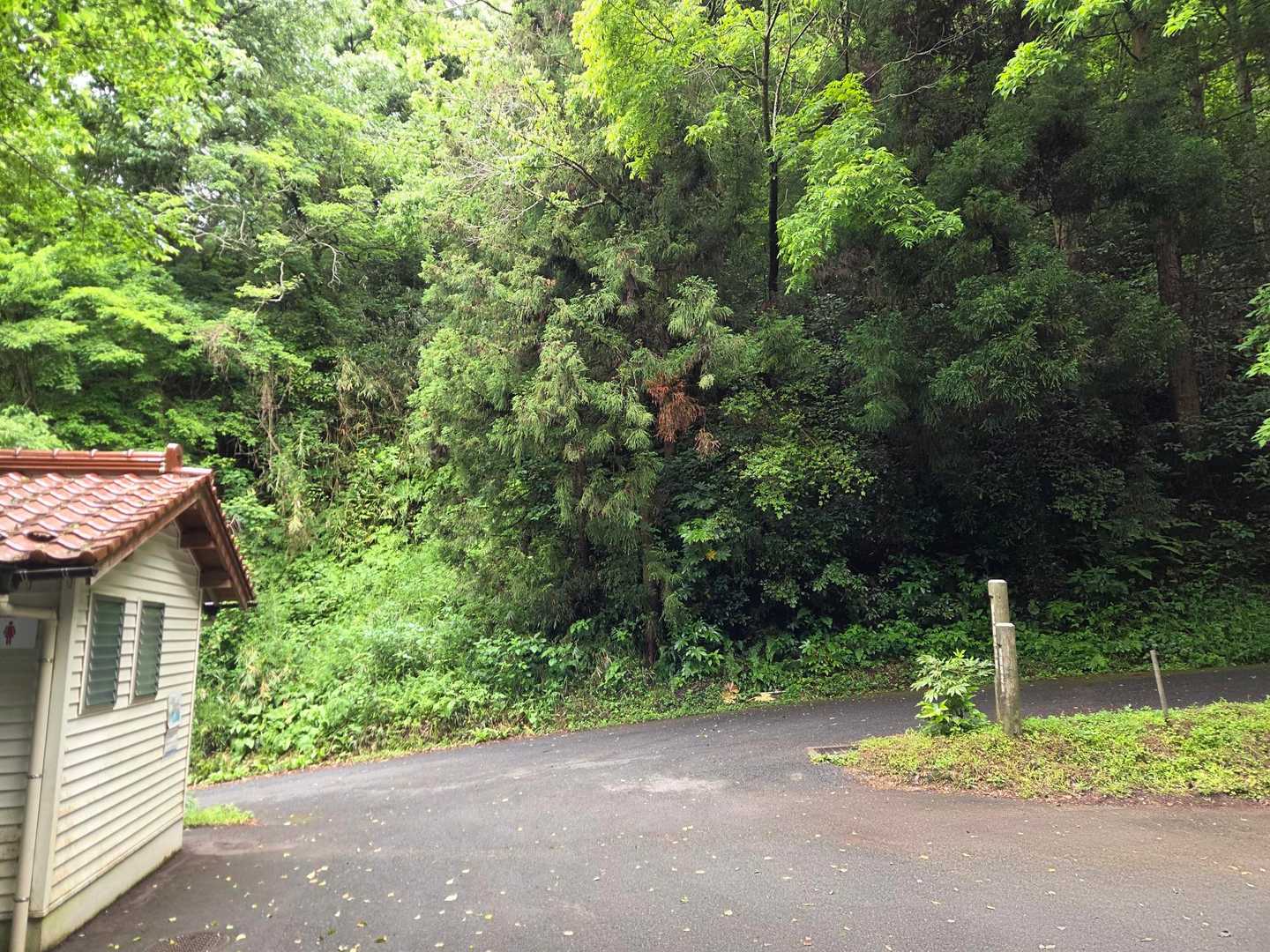駐車場に車を停め山登り開始🙋
８台くらい停められます🙆
