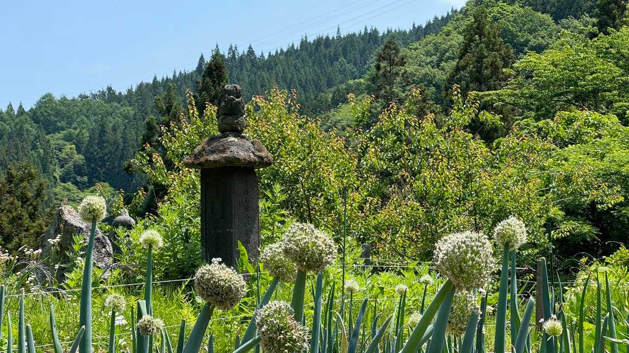 あまとみトレイル#1（長野駅〜飯綱高原〜戸隠神社〜戸隠キャンプ場） の写真 21