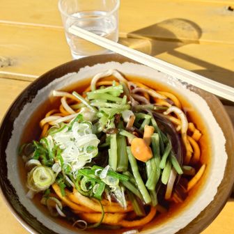 和紙の里『めん処 みはらし』にて年越しそば。
おそば屋さんだけやっていたので、山菜そば（600円）をいただく。
大晦日だからか、そば屋以外はお休みでした。生麺の販売もしていました。
太めのそばでおいしかったです。
ここで、もう今日は白石バス停にしようと決める。七峰舐めてました。