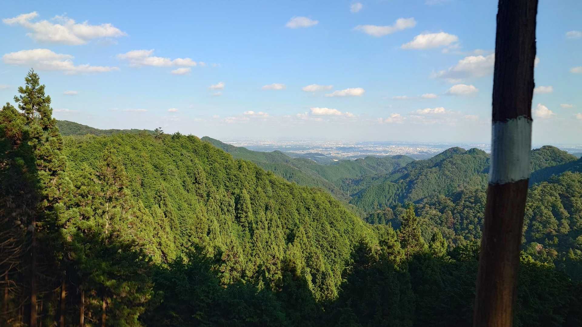 入山峠からまもなく、左手が一瞬開けた
都心方面の展望
気持ちいい
