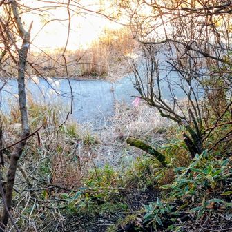 帰りは急傾斜を滑るように下りてきました。
今日も無事に下山できてありがとうございました😊