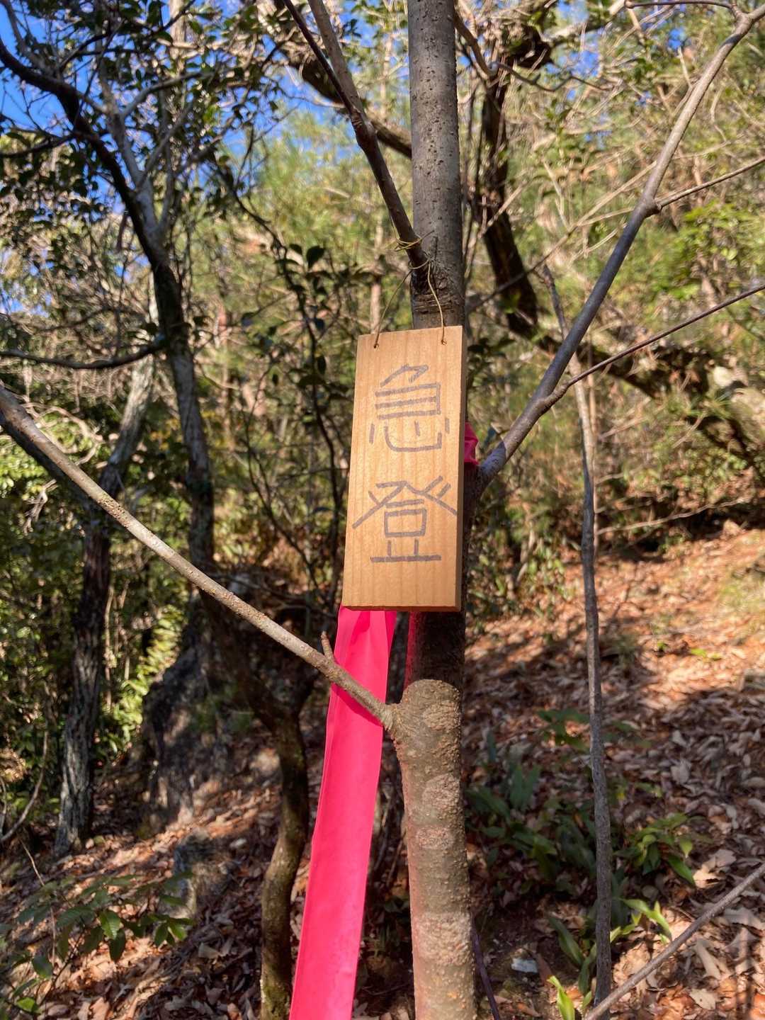 番場山 往復コースの写真