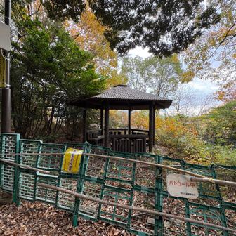 東屋が立入禁止になってたけど
此処が天神山の山頂になってます。