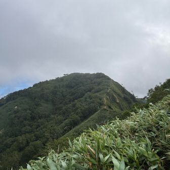 ピーク、とらえました！！