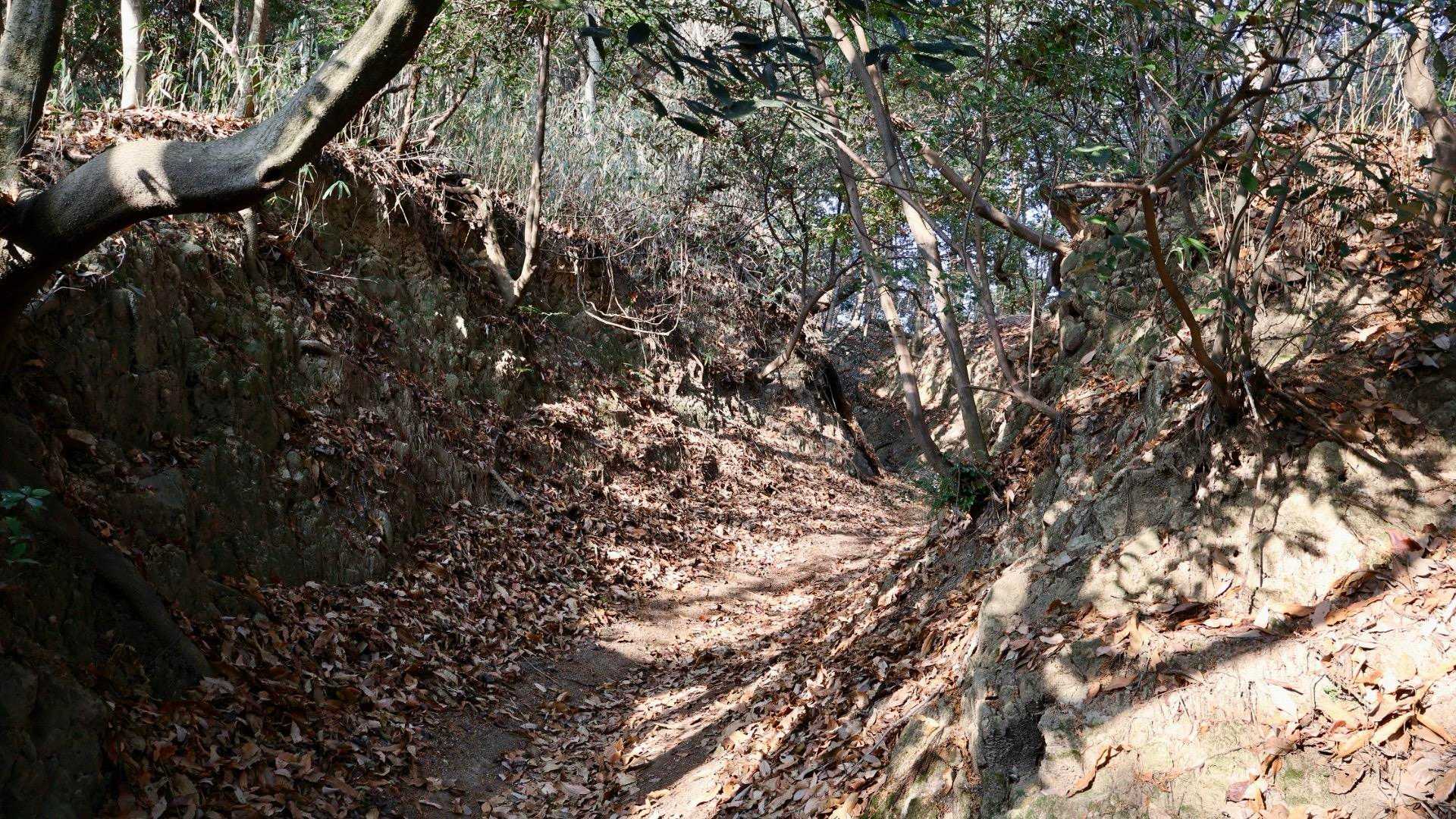 上ノ池横登山口-銀峰-出逢いの広場-二上山-第二十六経塚「 往復コースの写真