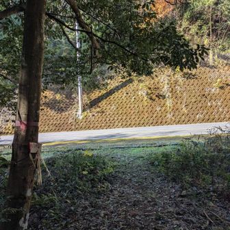 南河内グリーンロードに出ました