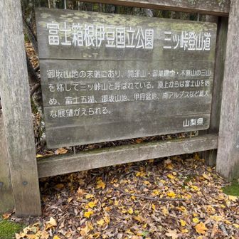 さて、登山開始
