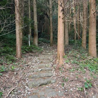 色々な見どころが
あるみたいですね。