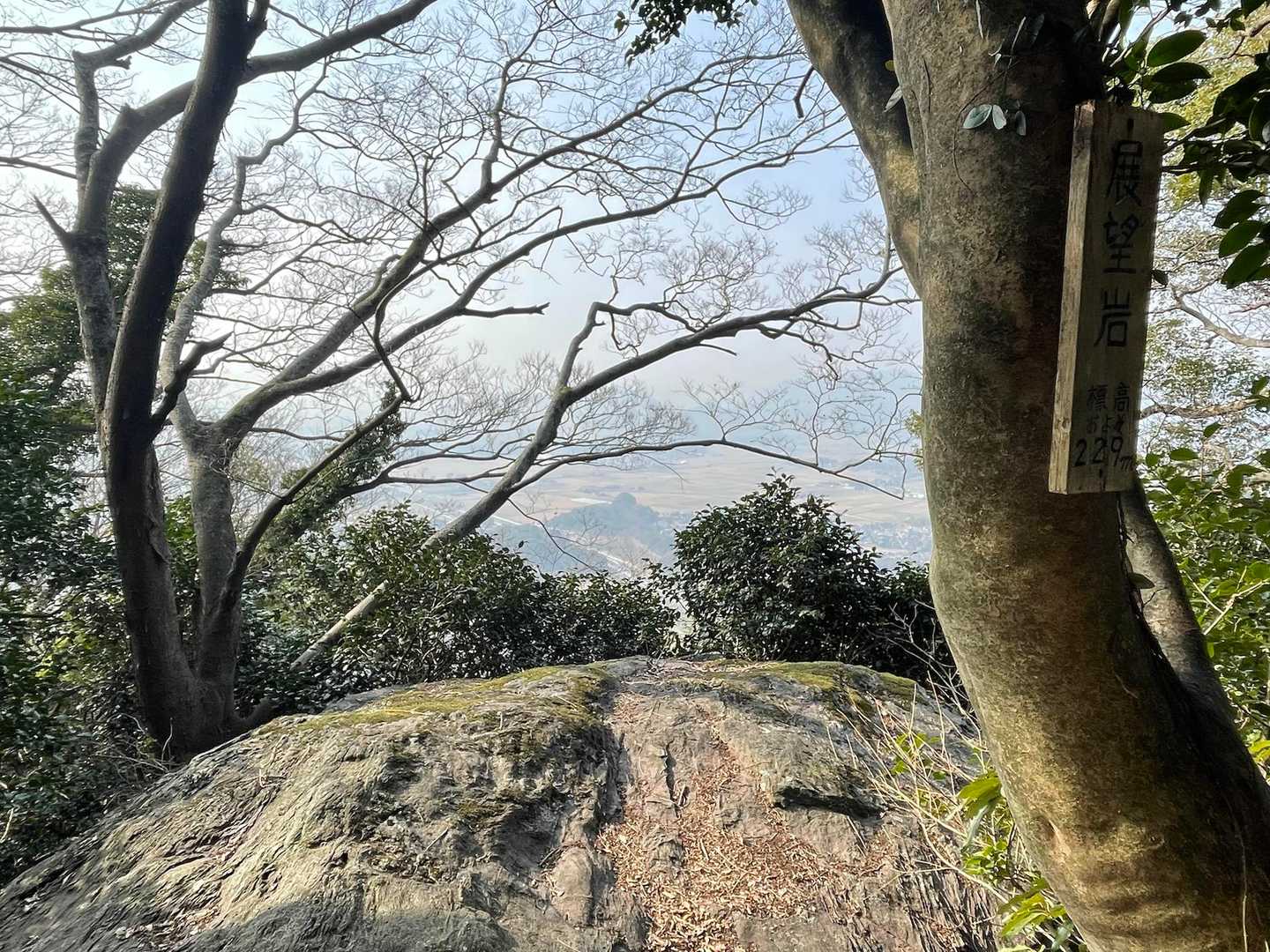 隠山-大平山-高城山 縦走コースの写真