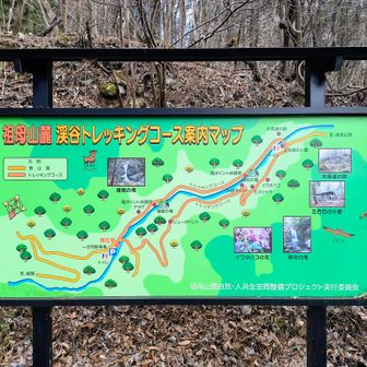 登山開始は神原から。
五合目小屋から先の急登が屋久島の過酷さに重なるといいけど