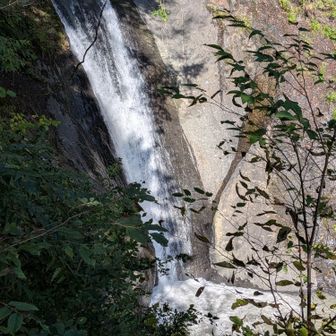 天渕の滝
水の量、色がこんなんで 💧‬
ブルーをたたえてくれたなら、滝壺が雪を被った富士山に見えるとか。
でもパンフや他の資料で撮られたアングルでは撮れなかったなぁ。普通に手元でスマホ構えるのではダメなのか。自撮り棒？延ばしてだったりかなぁ。
パンフとかは竜仙橋あたりから撮影した感じだけど 見えなかったよ……高いところからのアングルに見えた。
この写真はその先の天渕橋からの撮影。