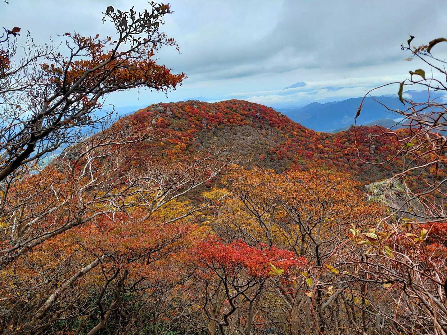 一端激下りですが時々見える景色に足が止まります😀
