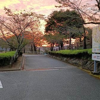 龍野公園駐車場〜スタート‼️
ここは24時間開いてて公衆便所というトイレもあります
朝日🌄が登ってきました