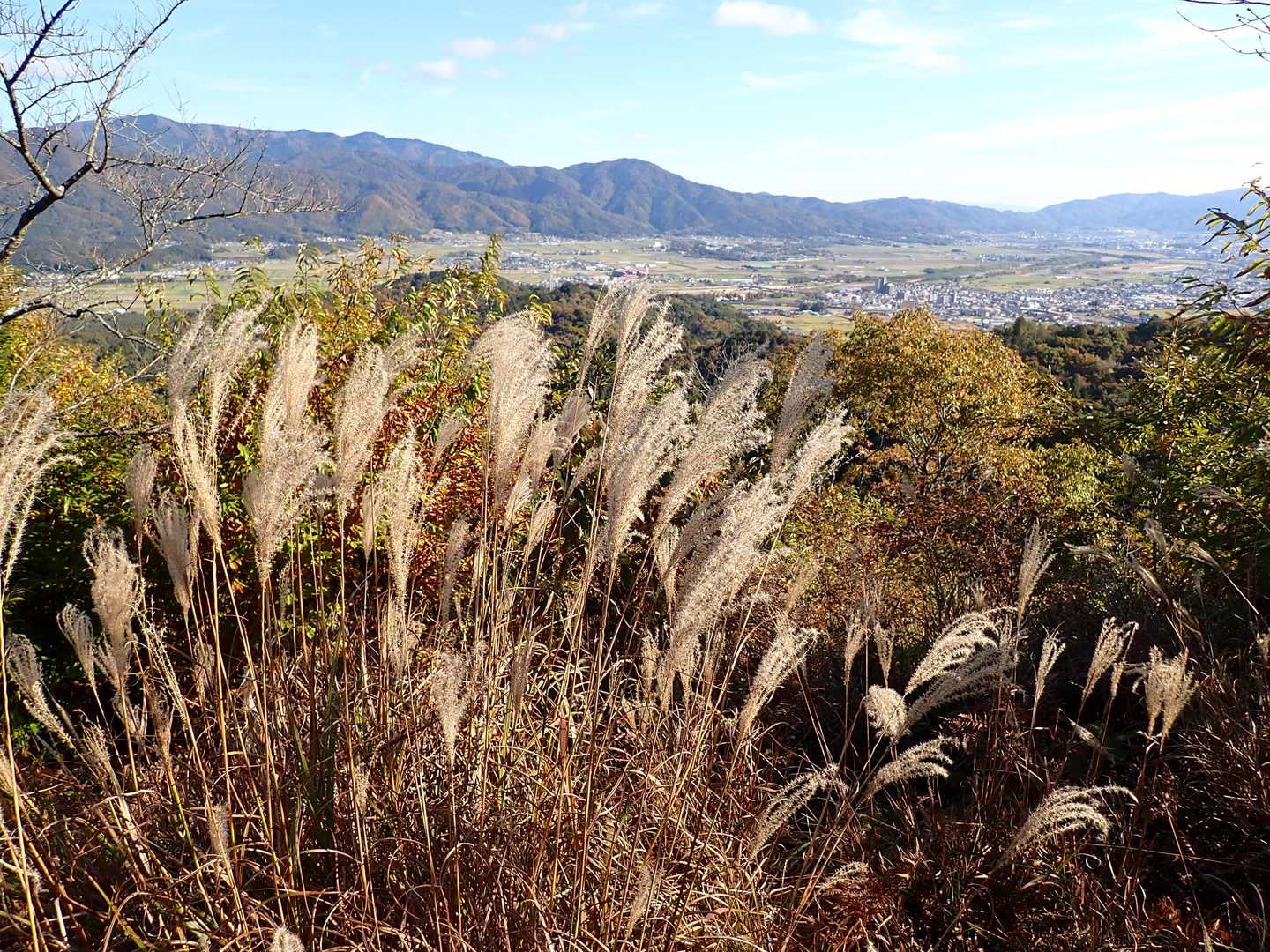 城山 往復コースの写真