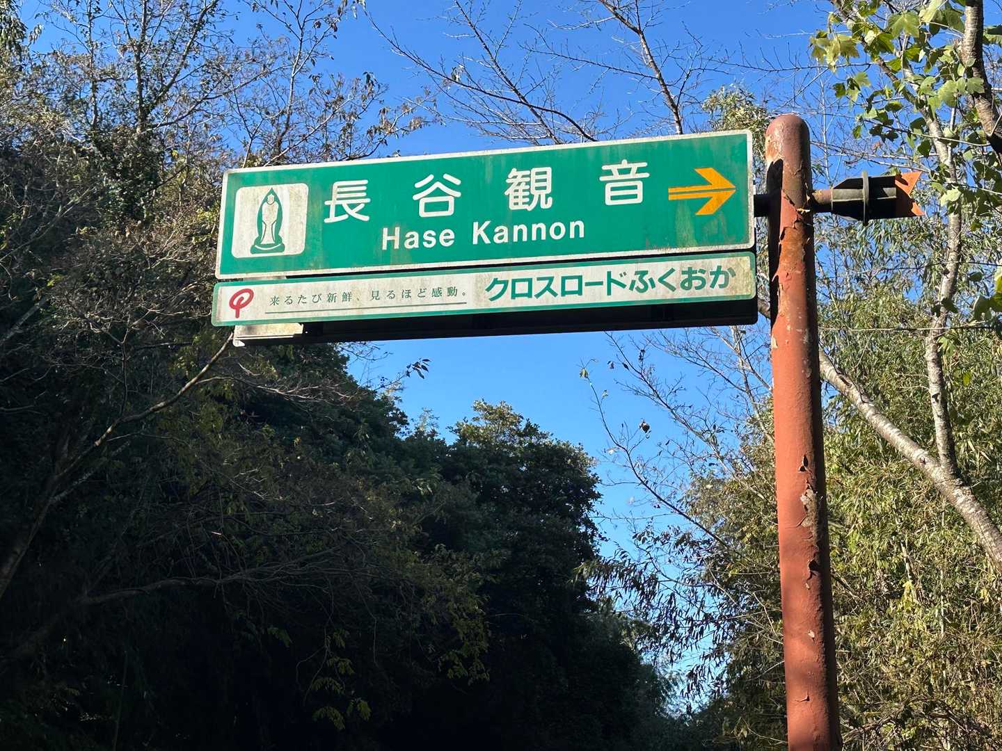 長谷観音様は、この間、お詣りに伺いました