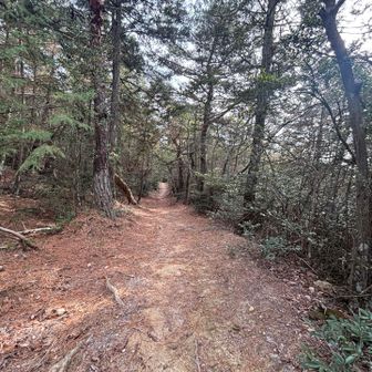 いい感じの小径♪