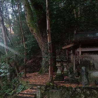 登り口からすぐの神社⛩️
この後 いきなり道に迷う…。