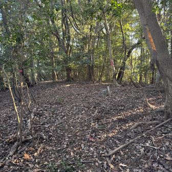 荒木根山山頂⛰️
