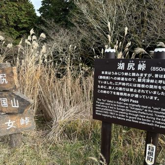 湖尻峠まで降りてきた、ここから黒岳へ！
