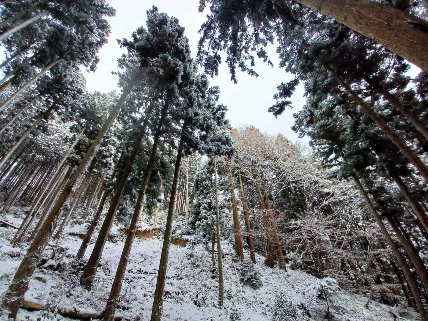 格好いい写真取れました✨