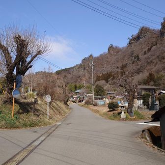 舗装路を歩き駐車場へ