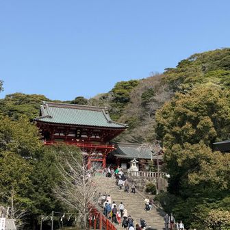 結婚式中なので
真ん中は開けて階段を通りました⛩️
