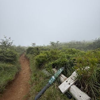 粟柄越から山頂目指すも、ガスガスで不安しかない