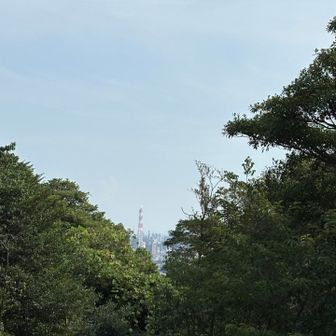 四日市市の赤い煙突が見えます