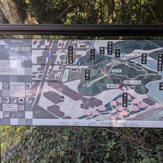 山城なのでスニーカーだと安心レベル👟
登り石垣の文字に心躍らせ向かう