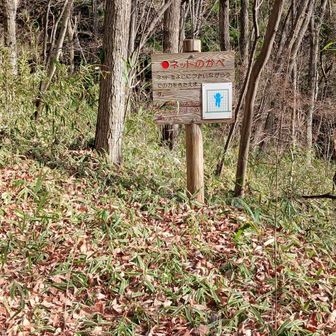 ストレッチ遊具出てきた。
高館山にも途中の公園であったなぁ…