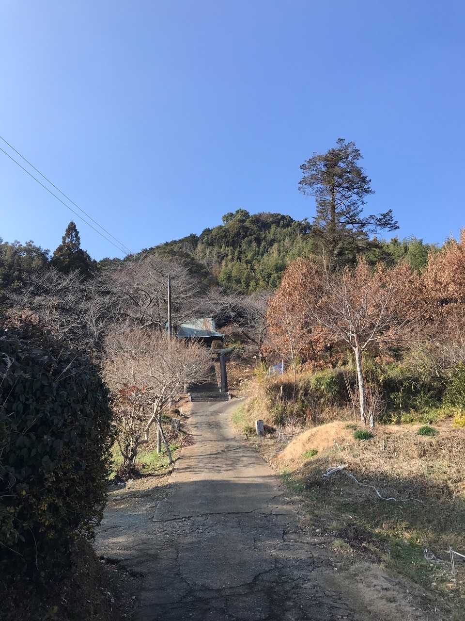 米野山宝林院能満寺観音堂-米野山 往復コースの写真