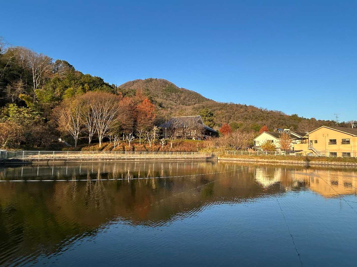 今年も二上山よろしくお願いします🤗
