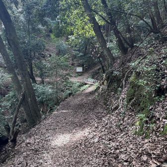 そろそろ山道も終わりか?