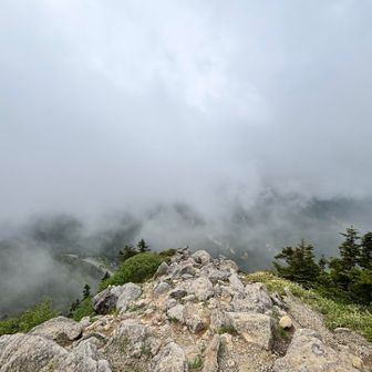 頂上からの展望👀
どんどん雲が登ってくる〜☁️☁️☁️