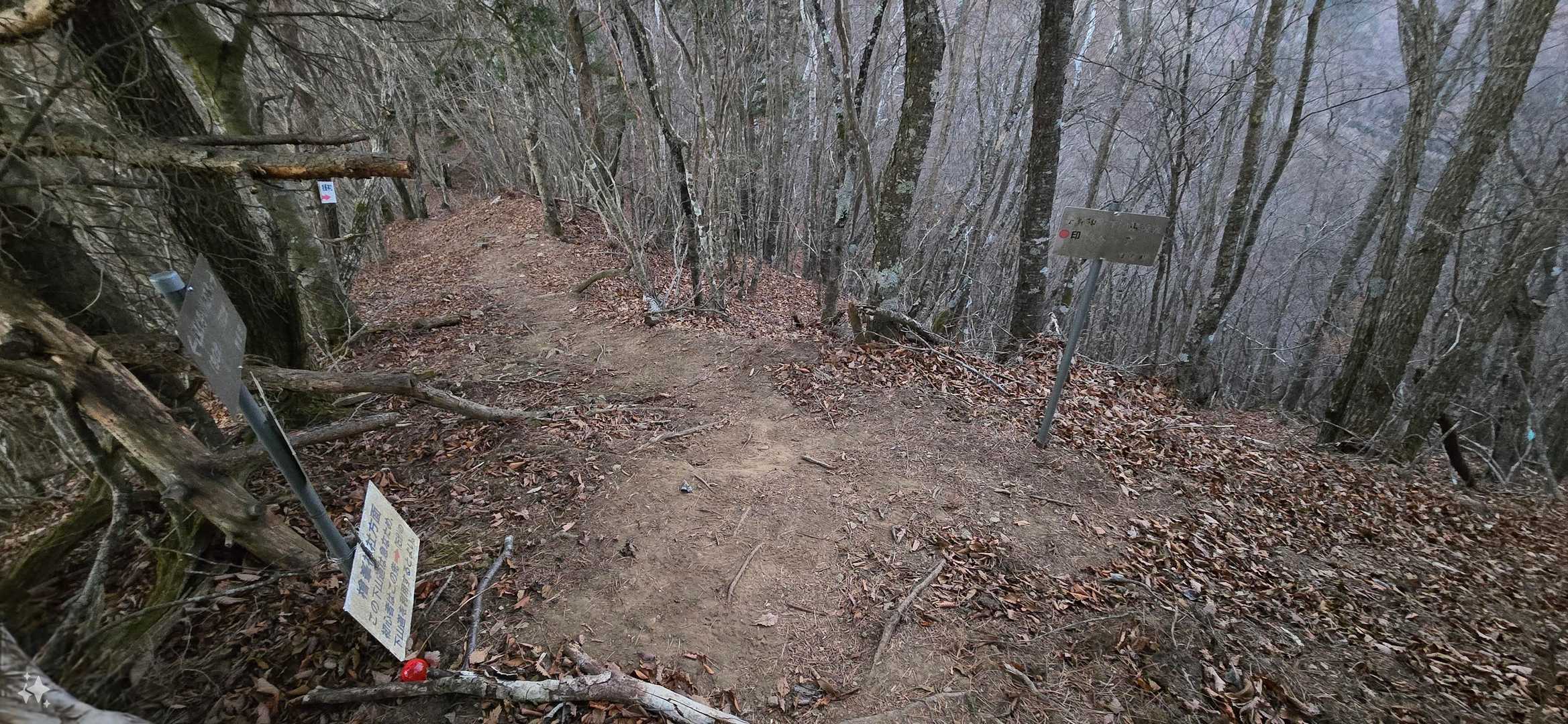 檜峯神社からバリ＆急登を登りあげるとここに来ますよ