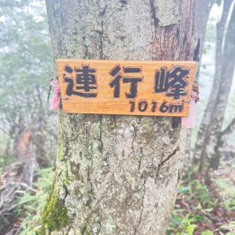 連行峰登頂1016m