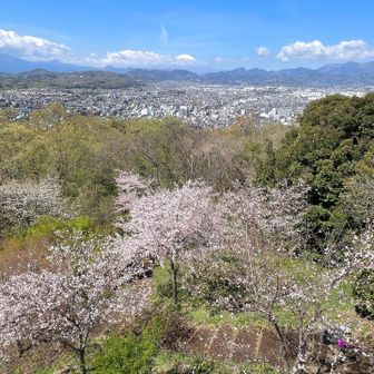 展望台からの眺め③
