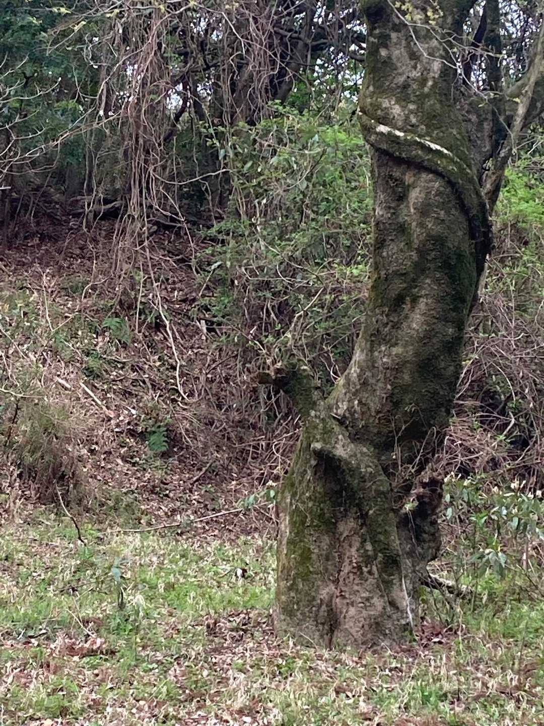 ぽっこりさん❤️