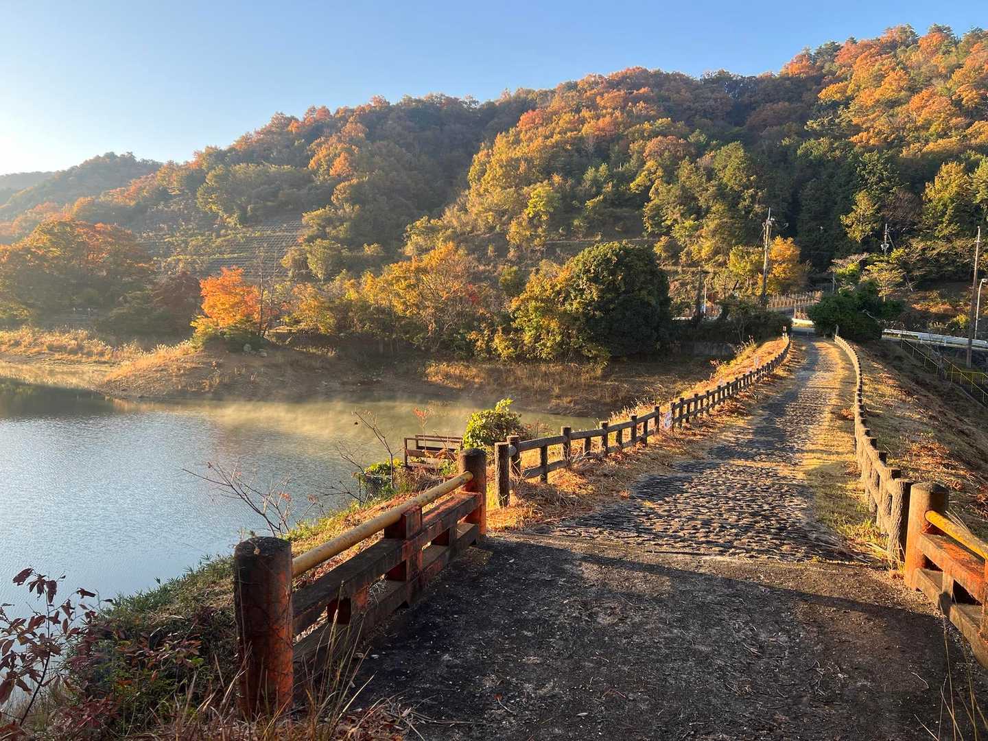 ☀️出た
キレイ
