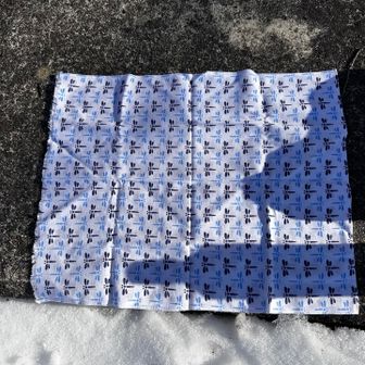 座布団を忘れたので手拭いを尻の下に敷いた。