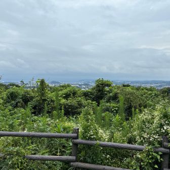 富士山🗻見えません