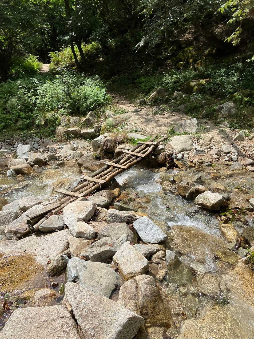 下山すると☀️