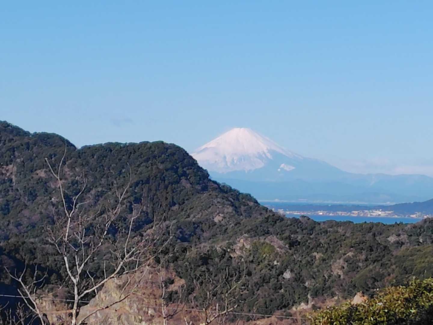 富士山🗻