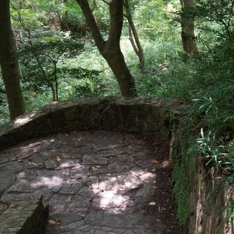樹々が日差しを遮ってとても歩き易い