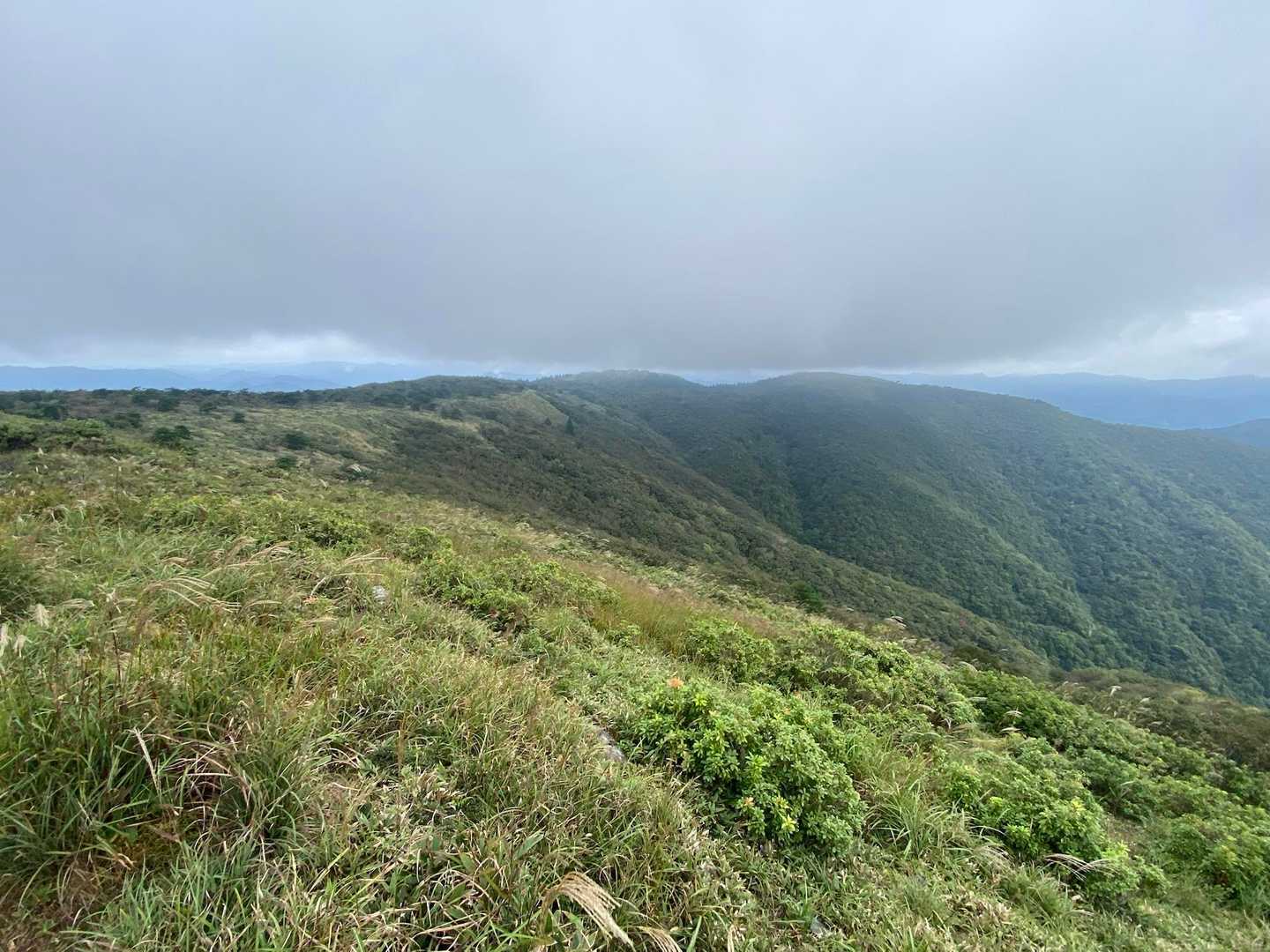生野高原登山口-達磨ヶ峰-フトウガ峰-段ヶ峰-千町峠 周回コースの写真