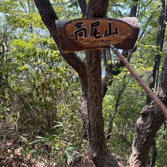 1度目の山頂